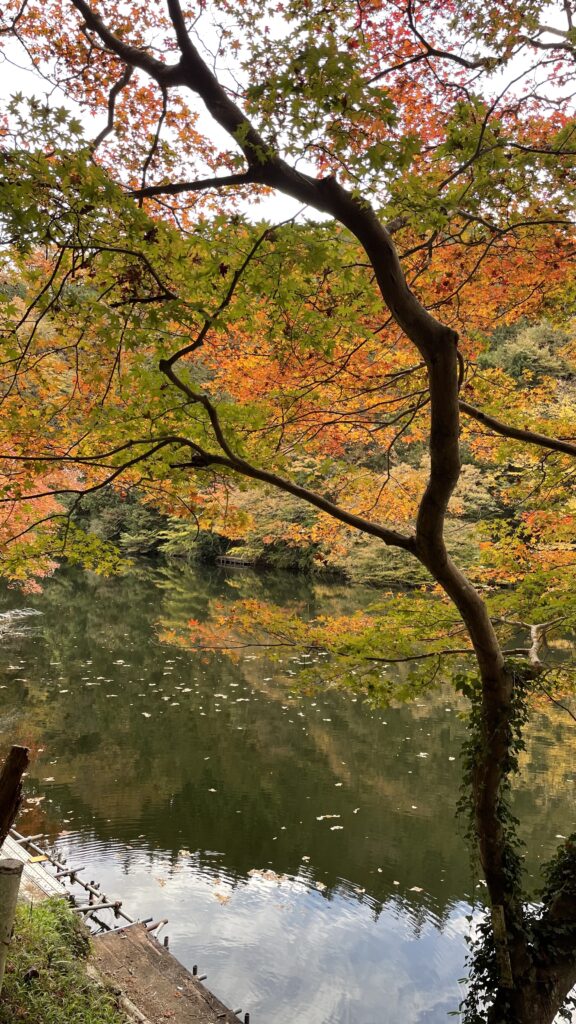 さいたま市北区理容室BALMERS(バルマーズ)〜秋のドライブ〜