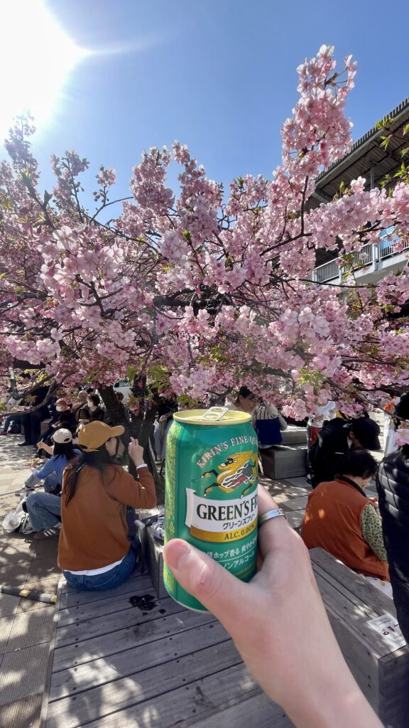 日進barberバルマーズ〜河津桜散歩〜