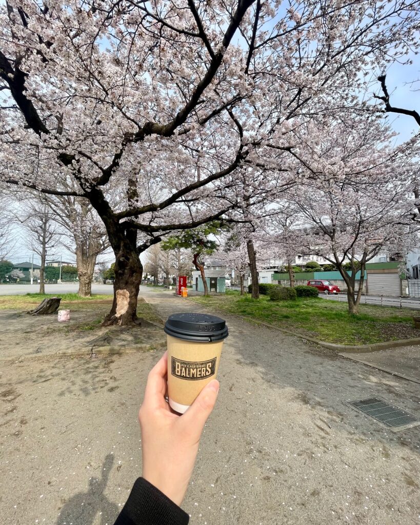 埼玉理容室BALMERS(バルマーズ)〜日進公園桜日和〜