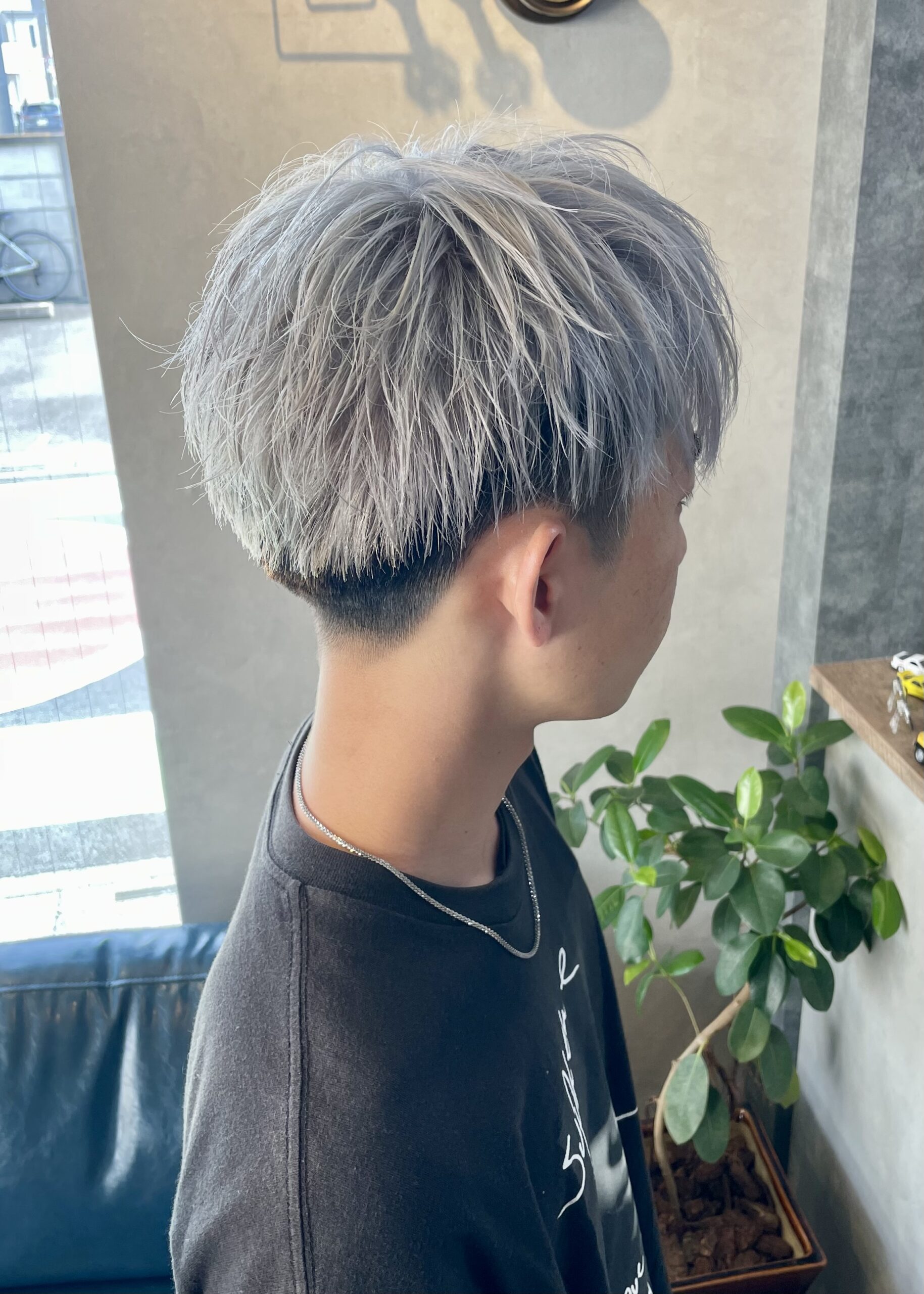 ホワイトシルバー